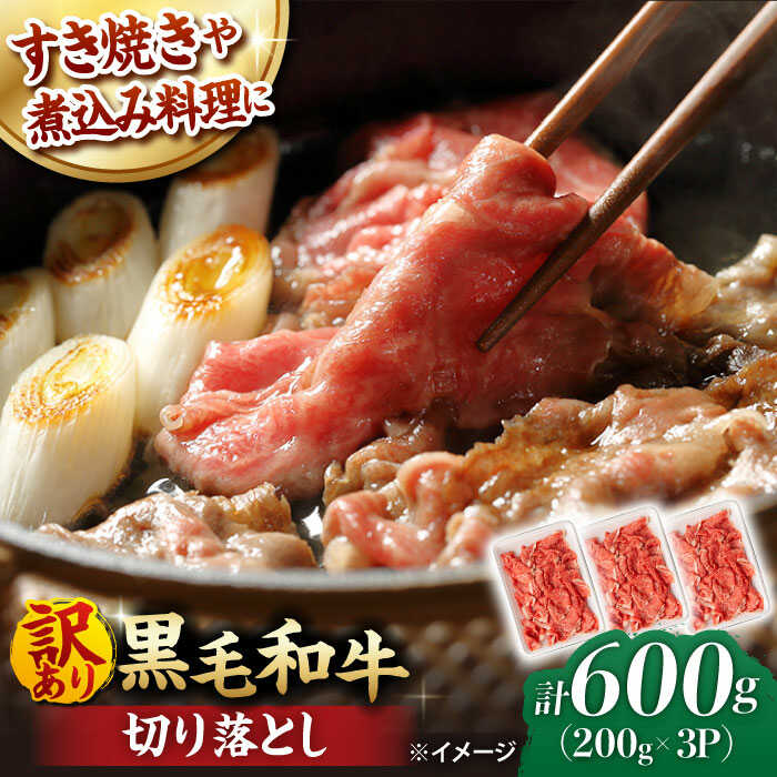 【ふるさと納税】【訳あり】 切り落とし 600g (200g&times;3P) 長崎和牛 黒毛和牛 【夢ファームシュシュ】 [WF07] 牛肉 和牛 赤身 小分け｜長崎県波佐見町