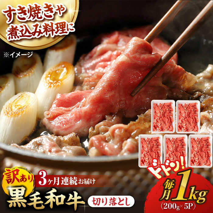 【ふるさと納税】【第3回定期便】【訳あり】 切り落とし 1.0kg (200g&times;5) 長崎和牛 黒毛和牛 【夢ファームシュシュ】[WF38] 和牛 牛肉 牛肉 赤身 切り落とし 小分け カレー すき焼き｜長崎県波佐見町