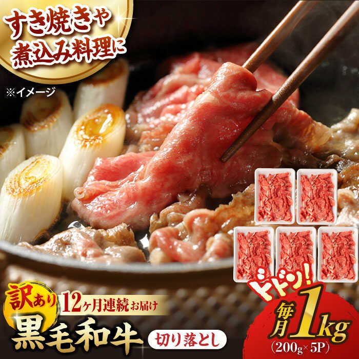 【ふるさと納税】【第12回定期便】【訳あり】 切り落とし 1.0kg (200g&times;5) 長崎和牛 黒毛和牛 【夢ファームシュシュ】[WF40] 和牛 牛肉 牛肉 赤身 切り落とし 小分け カレー すき焼き｜長崎県波佐見町