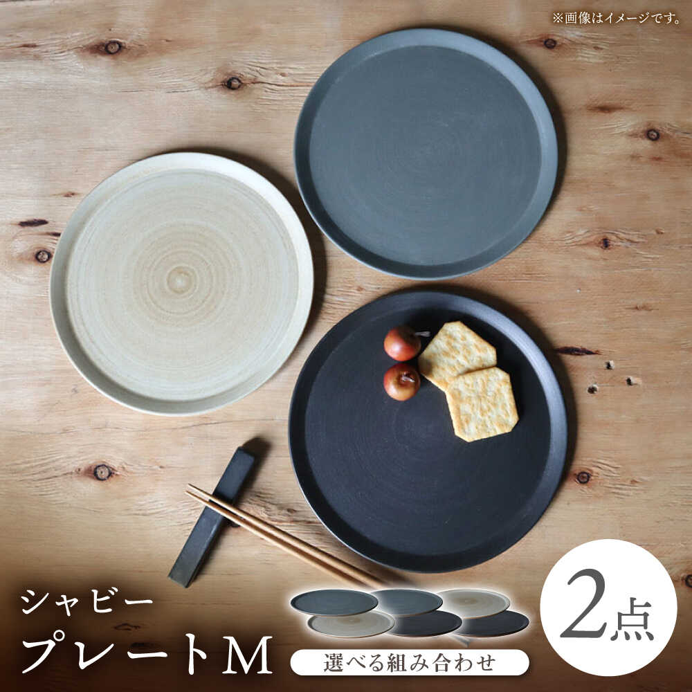 【ふるさと納税】【波佐見焼】選べる3color IREKO シャビー 一皿M 2点【浜陶】[XA82]