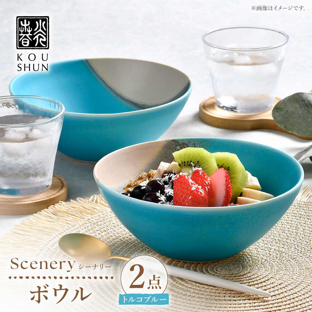 【ふるさと納税】【波佐見焼】Scenery（シーナリー）トルコ青色 どんぶり鉢 2個仕掛ける 【光春窯】[XD118]