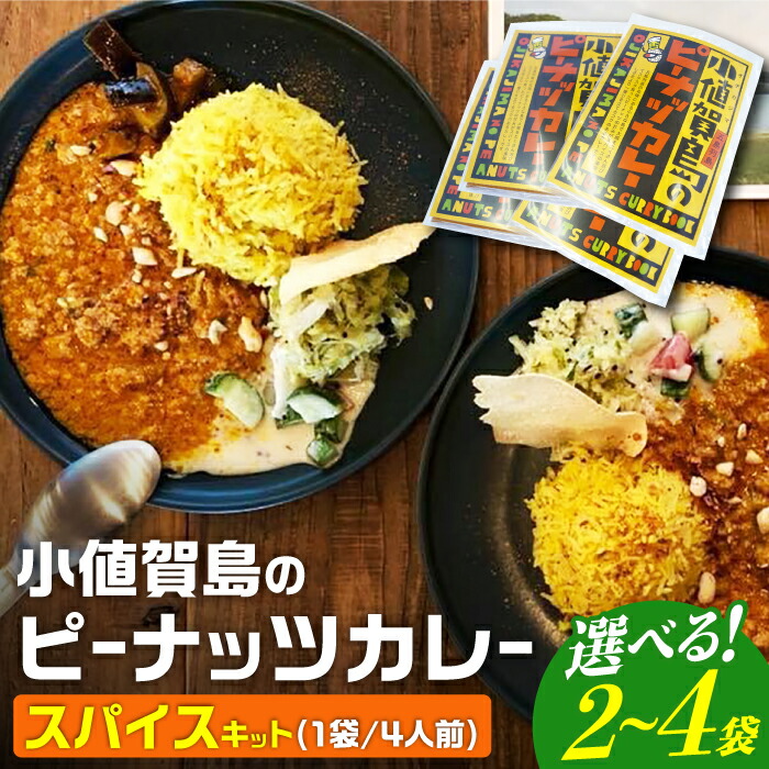 【ふるさと納税】【選べる個数】スパイスカレー 小値賀島のピーナッツカレー スパイスキット [DAA021] スパイス カレー 本格 簡単 ミールキット 落花生 常温 高評価 人気 カレー かれー 手作り ピーナッツ ピーナツ ぴーなっつ 人気 高評価 キット 本格的