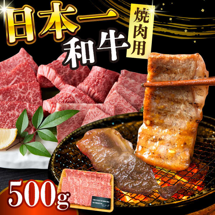 【ふるさと納税】【A4～A5】長崎和牛焼肉用　500g【株式会社 MEAT PLUS】[DBS001] 焼肉用 焼肉 焼き肉 牛肉 やきにく 牛肉 国産 国産和牛 和牛 贅沢 贈答