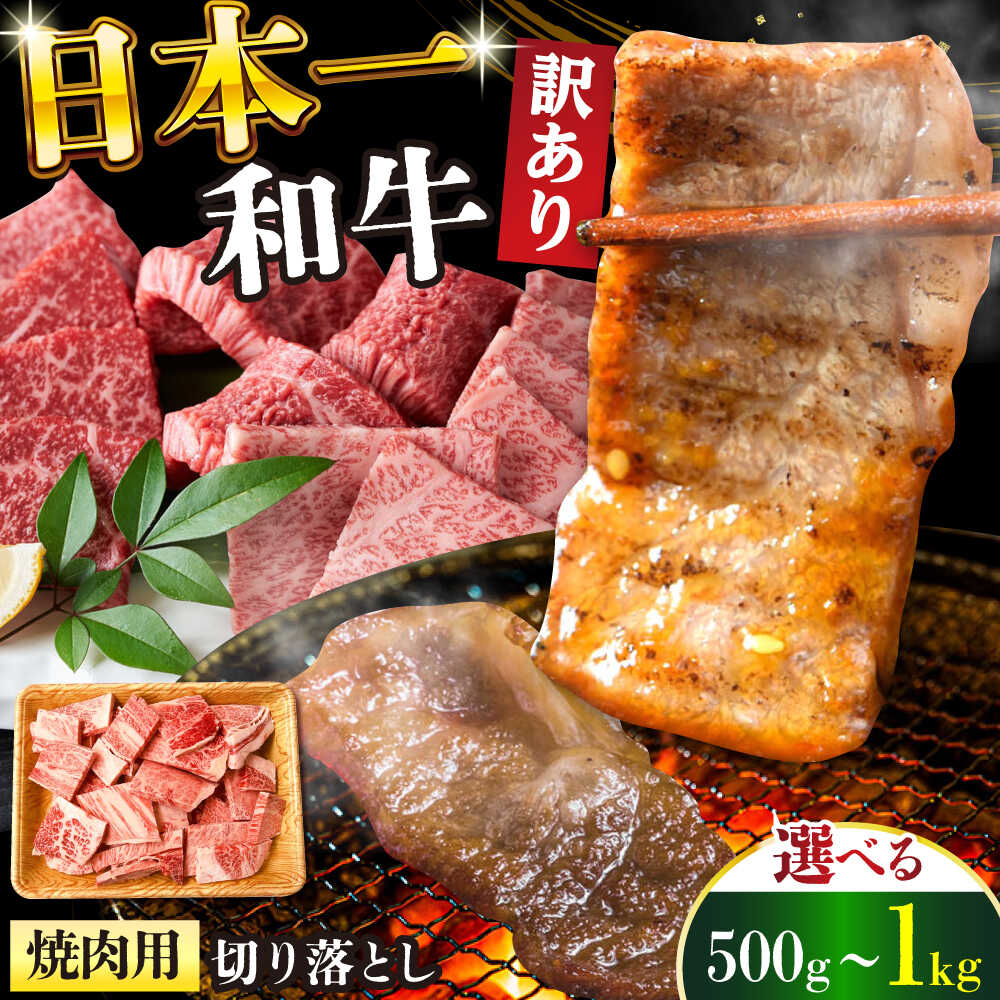 【ふるさと納税】【選べる内容量】【訳あり】【A4～A5】長崎和牛焼肉切り落とし(肩ロース・バラ）500g 1kg【株式会社 MEAT PLUS】[DBS003] 訳あり きり落とし 訳アリ きり落とし 和牛 牛肉 国産