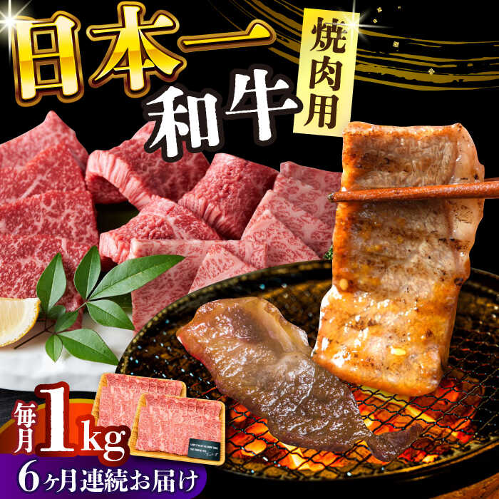 【ふるさと納税】【全6回定期便】【A4～A5】長崎和牛焼肉用　1kg（500g×2p）【株式会社 MEAT PLUS】[DBS039]