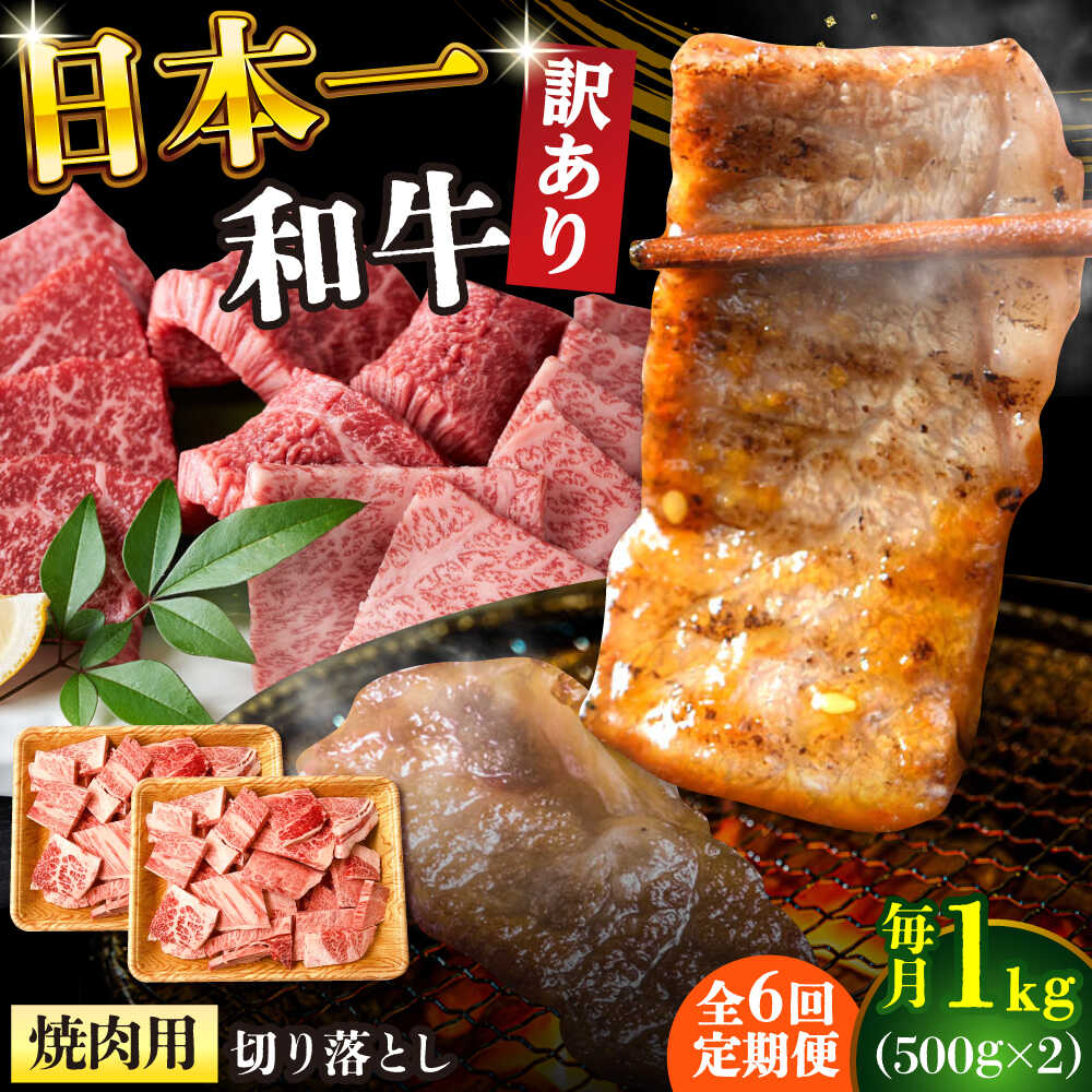 【ふるさと納税】【全6回定期便】【訳あり】【A4～A5】長崎和牛焼肉切り落とし(肩ロース・バラ）　1kg（500g×2p）【株式会社 MEAT PLUS】[DBS047]