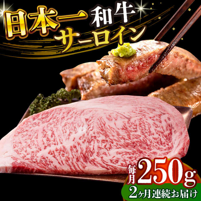 【ふるさと納税】【全2回定期便】【A4～A5】長崎和牛サーロインステーキ　250g（250g&times;1枚）【株式会社 MEAT PLUS】[DBS081]｜長崎県小値賀町