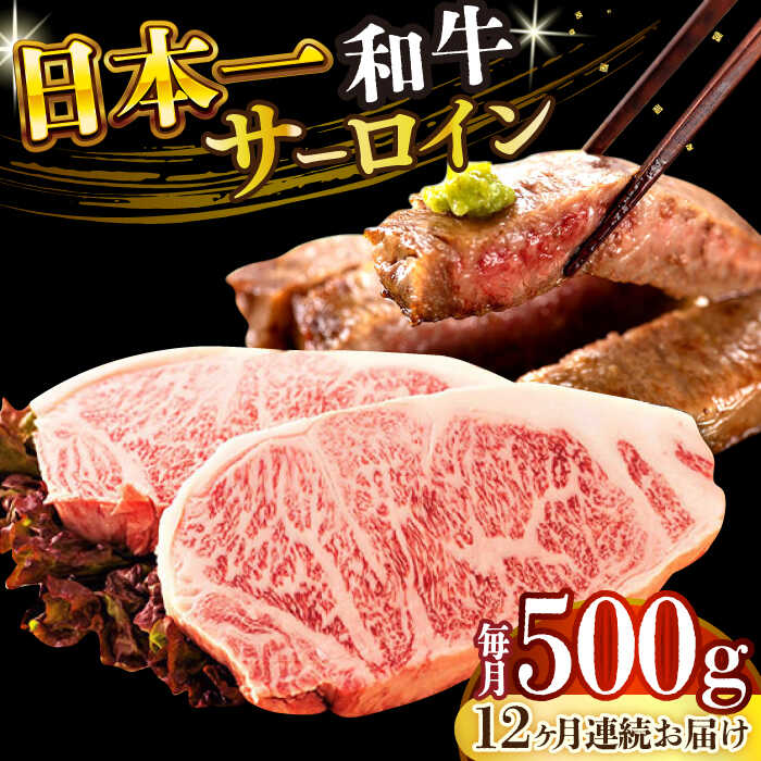 【ふるさと納税】【全12回定期便】【A4～A5】長崎和牛サーロインステーキセット　500g（250g×2枚）【株式会社 MEAT PLUS】[DBS088]
