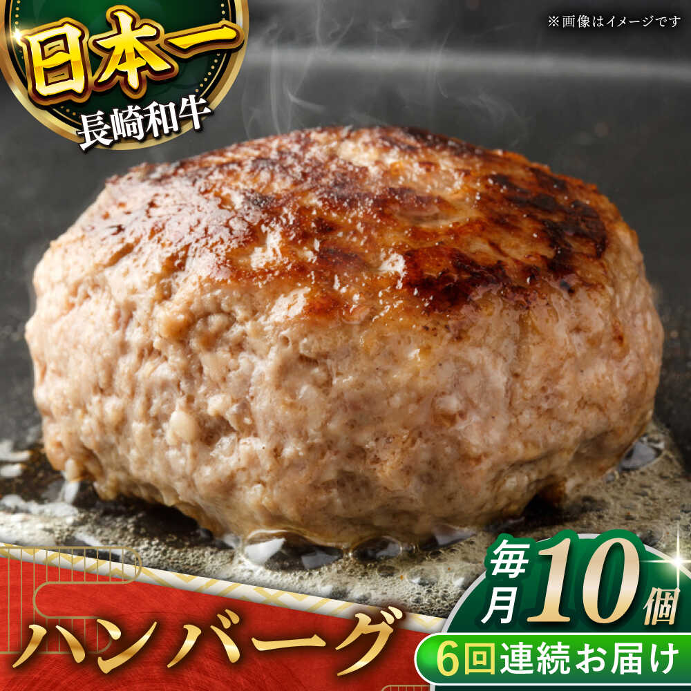 【ふるさと納税】【6回定期便】長崎和牛　ハンバーグ　10個入り（各200g）【黒牛】[QBD081]