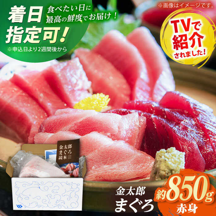 【ふるさと納税】【どこを切ってもうまい！濃厚な味わい】金太郎 マグロ 冷凍 ブロック 赤身 約850g【徳丸】 [RAC014]｜長崎県新上五島町