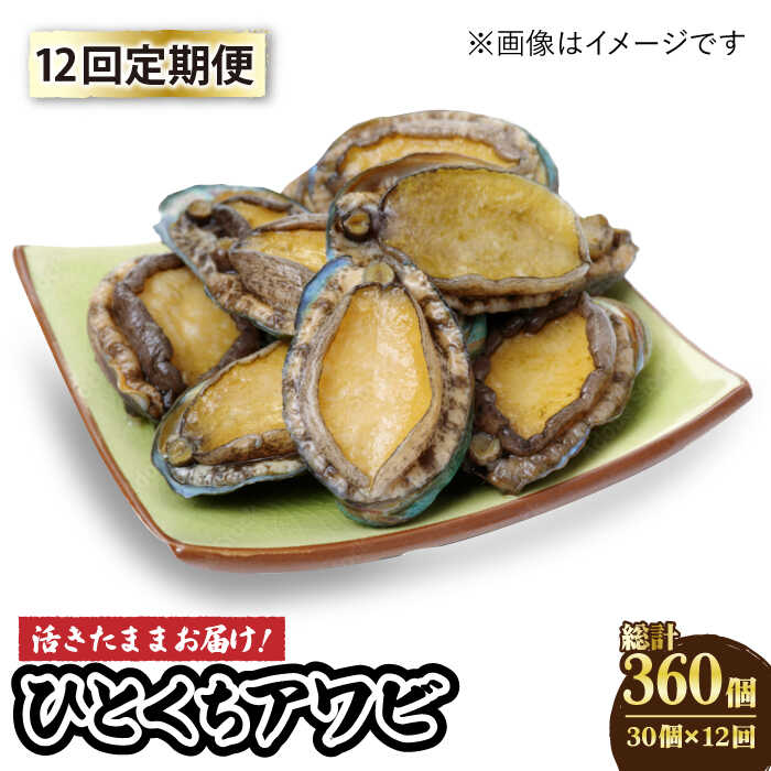 【ふるさと納税】【全12回定期便】【活きたままお届け！】 上五島産 養殖 ひとくち アワビ 厳選 30個【豊建設株式会社】 [RAE011]｜長崎県新上五島町