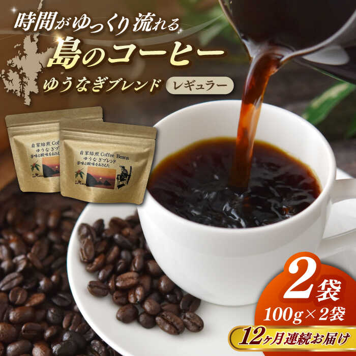 【ふるさと納税】【全12回定期便】Fuuki Coffee　Roaste　Coffee　Beans ゆうなぎブレンド2パック【冨喜】[RBO027]