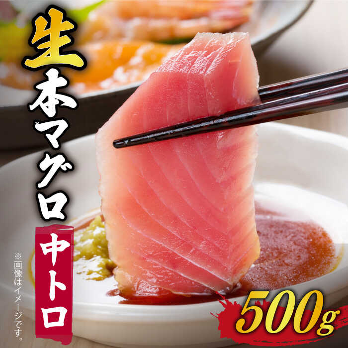 【ふるさと納税】【ながさき水産業大賞受賞の新鮮なマグロを冷蔵でお届け！！】 五島列島産 養殖 生本かみまぐろ 中トロ 刺身 ブロック 500g【カミティバリュー】 [RBP051]