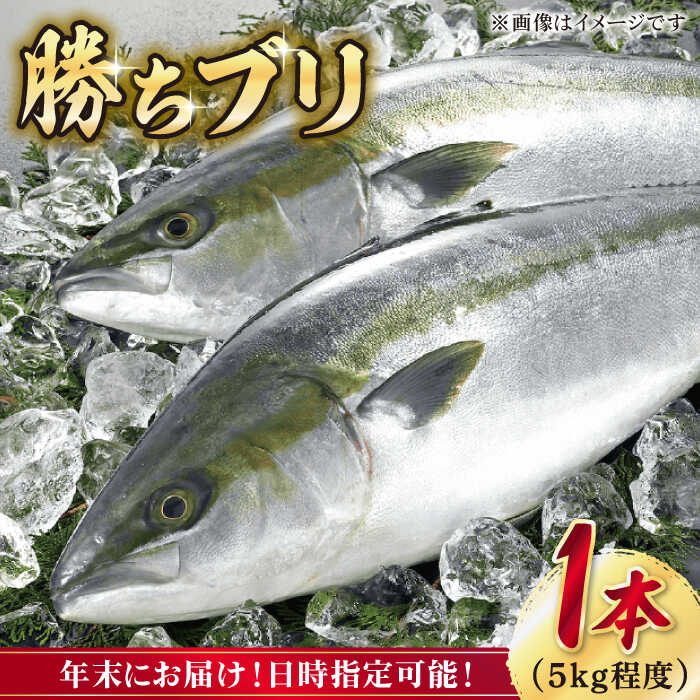 楽天市場】【ふるさと納税】【2024年1月・2月・3月配送】【着日指定