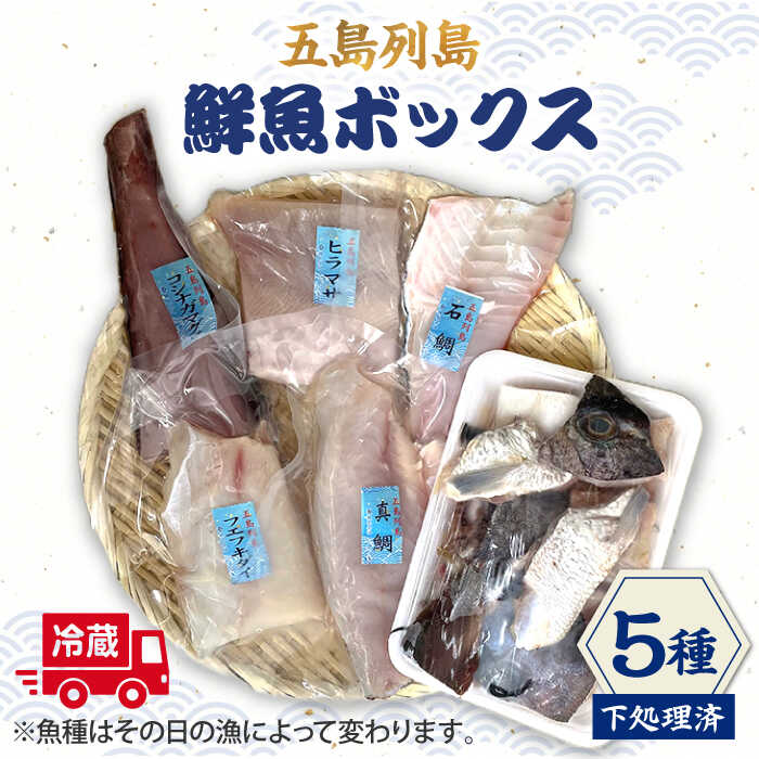 【ふるさと納税】【下処理済】【冷蔵】 五島列島 鮮魚ボックス 5種 【シャイニンググループ】 [RBR001]｜長崎県新上五島町