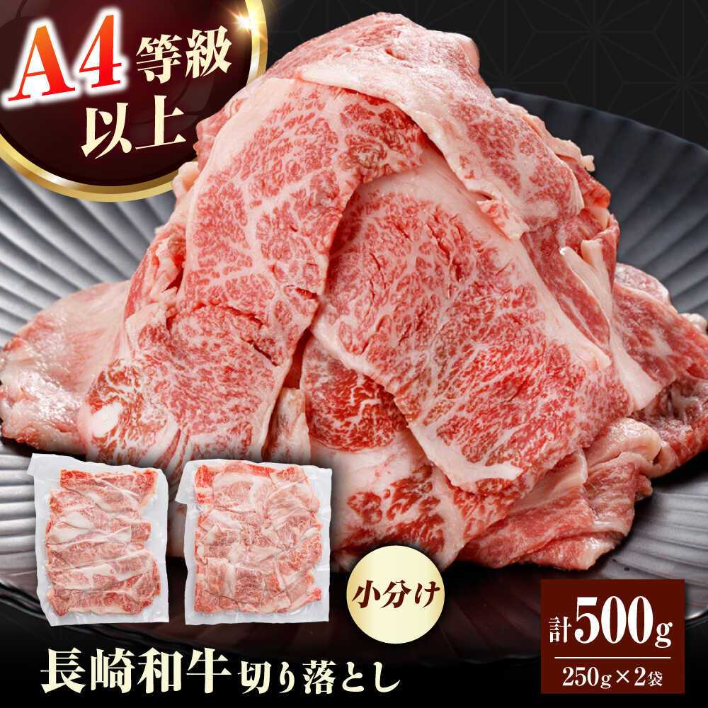 【ふるさと納税】【訳あり】長崎和牛（バラ、モモ、肩ロースのいずれか）500g 切り落とし 250g×2P 小分け 【株式会社時愉亭】[RCE021]