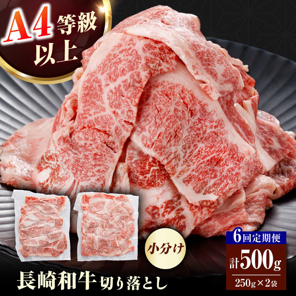 【ふるさと納税】【全6回定期便】【訳あり】長崎和牛（バラ、モモ、肩ロースのいずれか）500g 切り落とし 250g×2P 小分け 【株式会社時愉亭】[RCE023]
