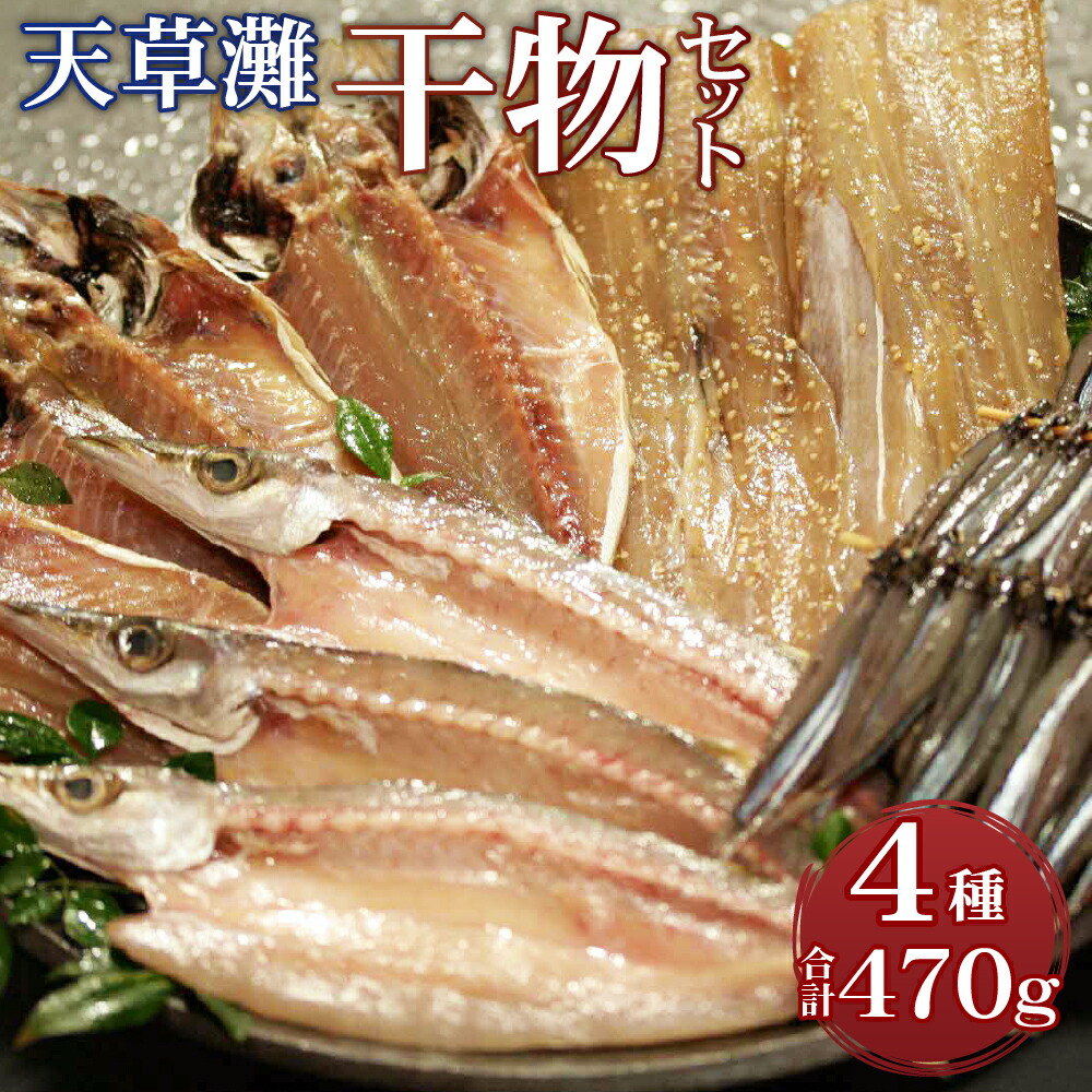 86%OFF!】 天草灘干物セット 4種 合計470g カマスささ塩干し アジささ塩干し 太刀魚味醂干し キビナゴ丸干し 干物 おつまみ 酒の肴  おかず 惣菜 天草 海の幸 冷凍 熊本県 送料無料 fucoa.cl