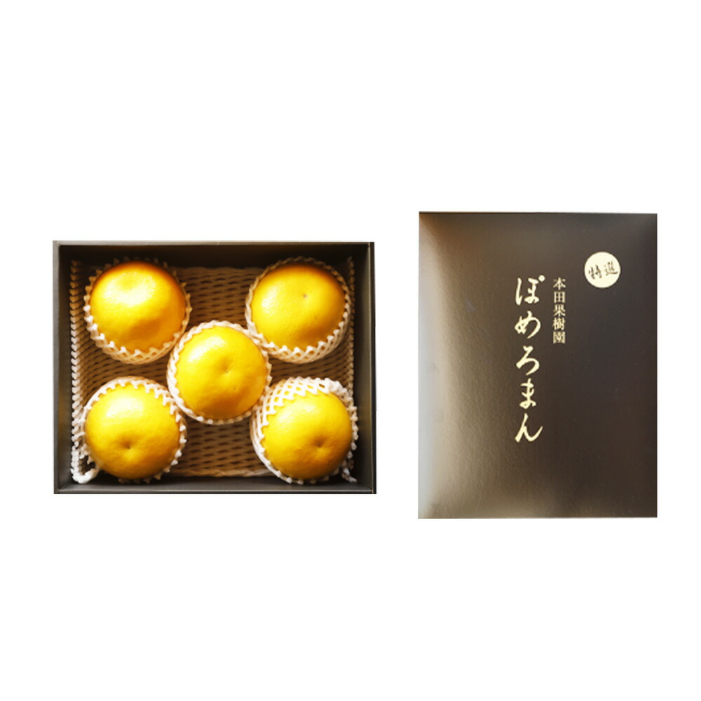 チープ ふるさと納税 23年1月下旬発送開始 特選ぽめろまん 5 6玉 化粧箱入 1玉約500g 600g 温室栽培 果物 フルーツ 柑橘 希少 文旦系の果物 みかん 玉名 国産 熊本県 送料無料 Toyama Nozai Co Jp