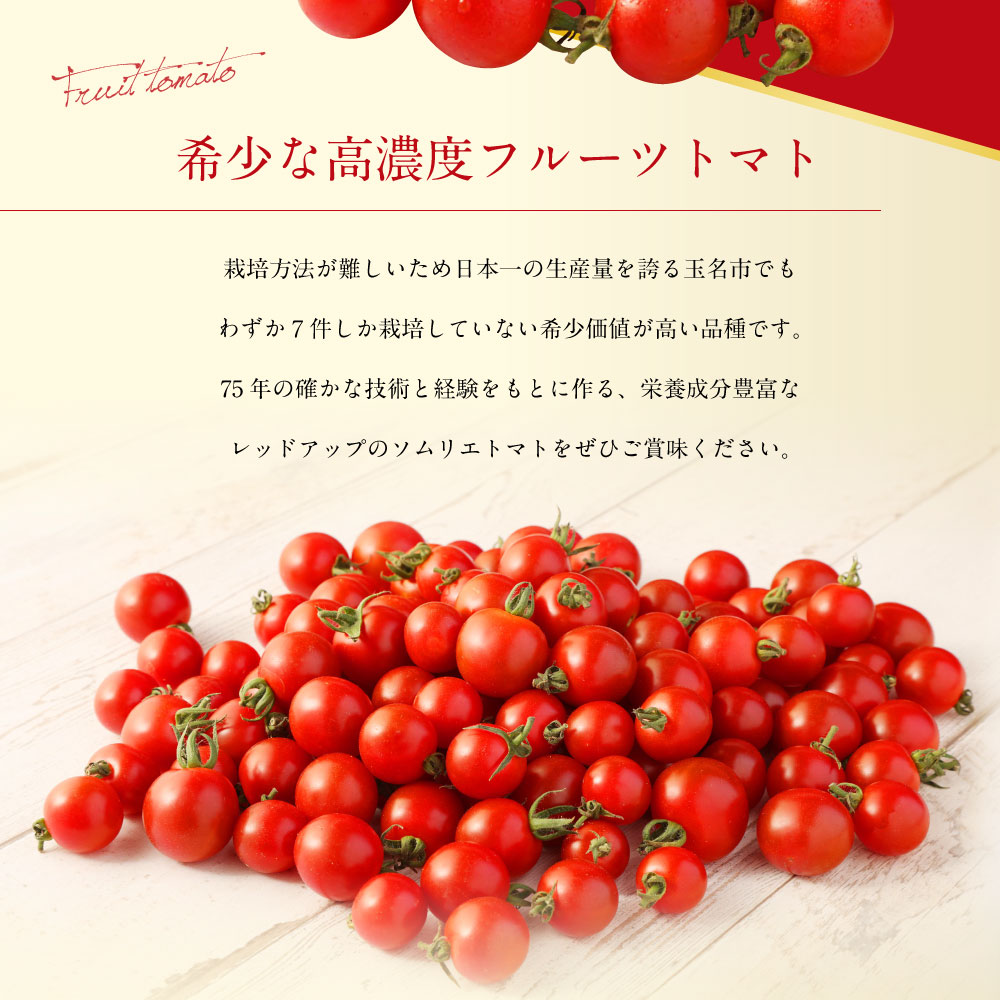 ショップ ふるさと納税 玉名市 ソムリエトマト1 3kgとソムリエミニトマト プラチナ1kgのセット Matzi27 Com