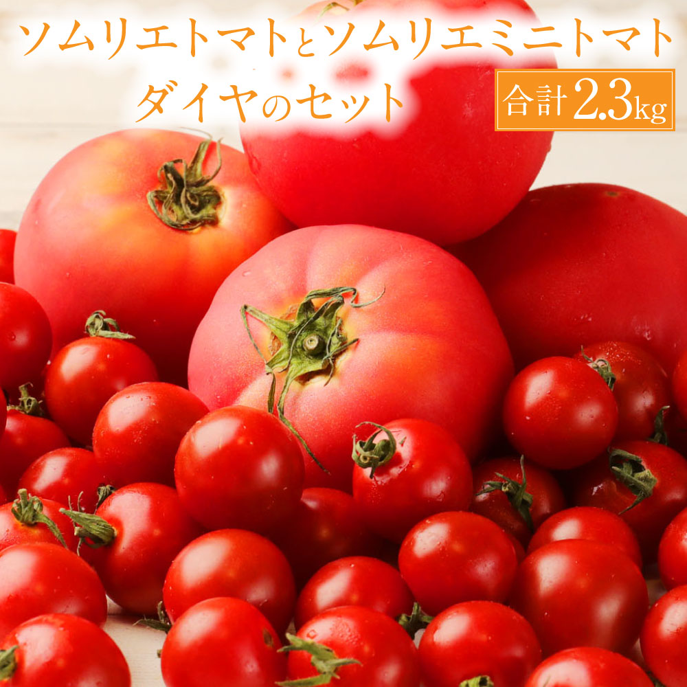 楽天市場】【ふるさと納税】【2023年2月上旬発送開始】 熊本県 ソムリエトマト1.3kgとソムリエミニトマト プラチナ1kgのセット 合計2.3kg  ソムリエ トマト とまと 野菜 旬 新鮮 フルーツ フルーツトマト ミニトマト セット 食べ比べ 熊本県 送料無料 : 熊本県