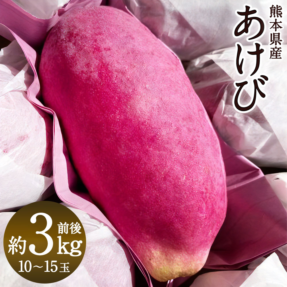 【ふるさと納税】熊本県産 あけび 約3キロ前後 あけび フルーツ 果実 果物 くだもの 約3kg 料理 生食 冷蔵 九州 熊本県 送料無料 【2025年10月上旬発送開始】
