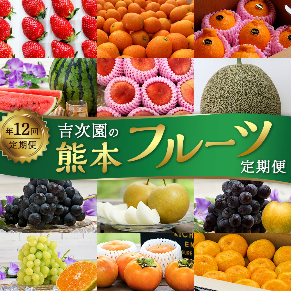 【ふるさと納税】【年12回定期便】吉次園 の 熊本フルーツ 定期便 12回 12ヵ月 フルーツ 果実 くだもの 季節 旬 いちご フルーツキンカン 不知火 メロン すいか 桃 巨峰 ピオーネ ロザリオビアンコ 新高梨 太秋柿 みかん 頒布会 九州 熊本県 送料無料