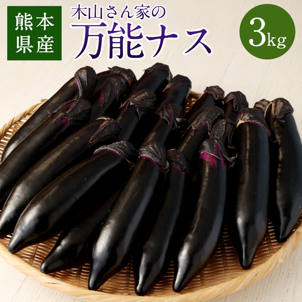 【ふるさと納税】木山さん家の万能ナス 3kg ナス なす 茄子 野菜 やさい 筑陽ナス 煮物 揚げ茄子 焼き茄子 漬物 万能 九州 熊本県 送料無料 9,800円