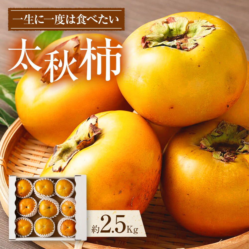 【ふるさと納税】熊本県産 プレミアム 太秋柿  約2.5kg 約8～12玉 たいしゅうがき 柿  カキ かき 果物 くだもの フルーツ 常温 九州 熊本県 送料無料 【2025年10月上旬発送開始】