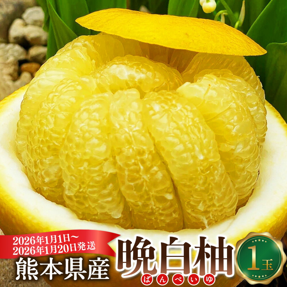 【ふるさと納税】熊本県産 晩白柚 1玉入り 2Lサイズ 約2kg 世界最大級 ザボン ギネス認定 柑橘 ばんぺいゆ 果物 フルーツ くだもの お取り寄せ 常温 九州 熊本県 送料無料 【2026年1月1日～2026年1月20日発送予定】