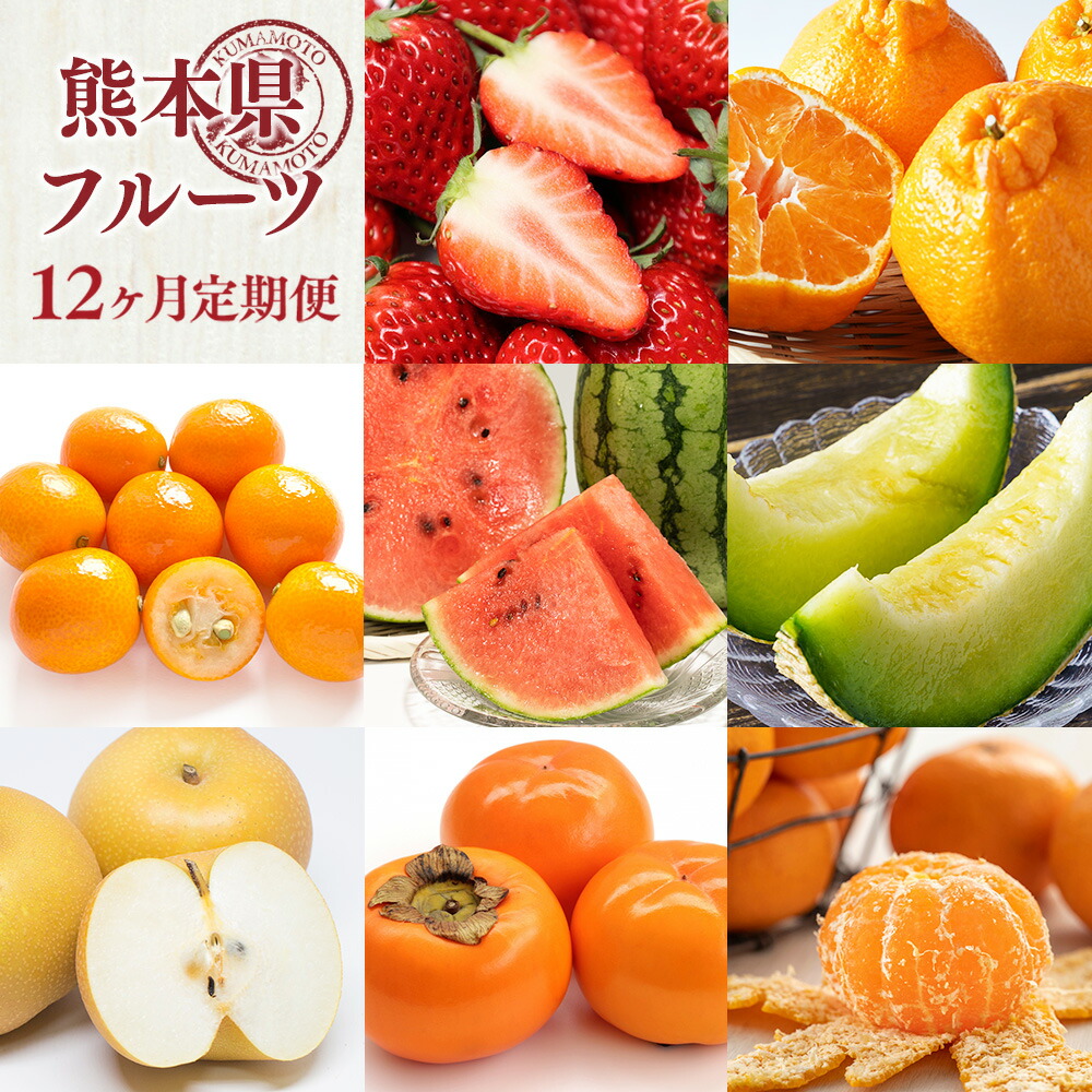 【ふるさと納税】【12ヶ月定期便】熊本県 フルーツ 12ヶ月 定期便 定期配送 12回 果物 くだもの 果実 旬 柑橘 いちご 不知火 キンカン スイカ 西瓜 メロン 梨 みかん デコポン 太秋柿 新高梨 豊水梨 九州 送料無料