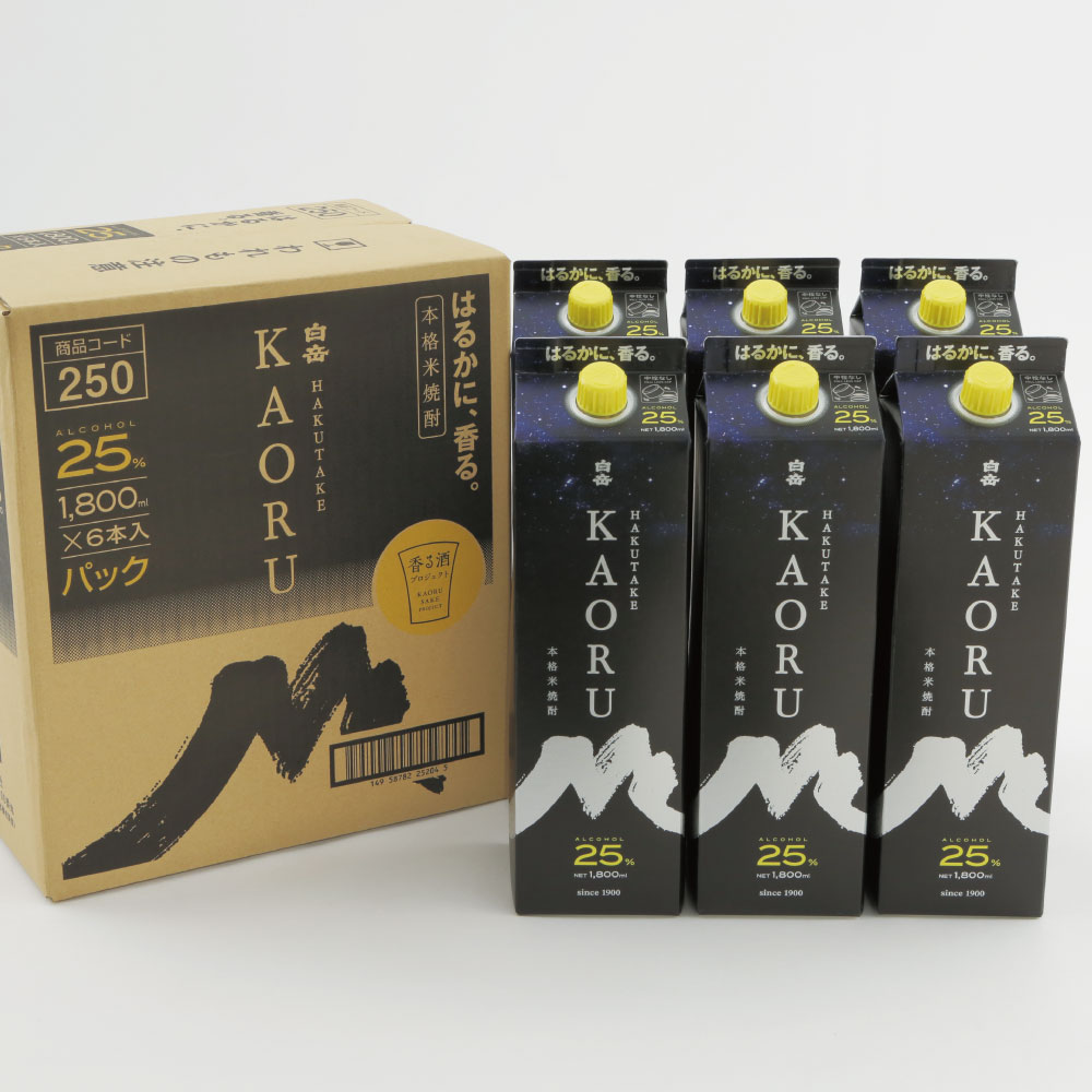 ふるさと納税 球磨焼酎 山河 1.8Lパック 6本 熊本県人吉市 熊本県人吉市産 球磨焼酎 山河 1800mlパック6本 アルコール分25