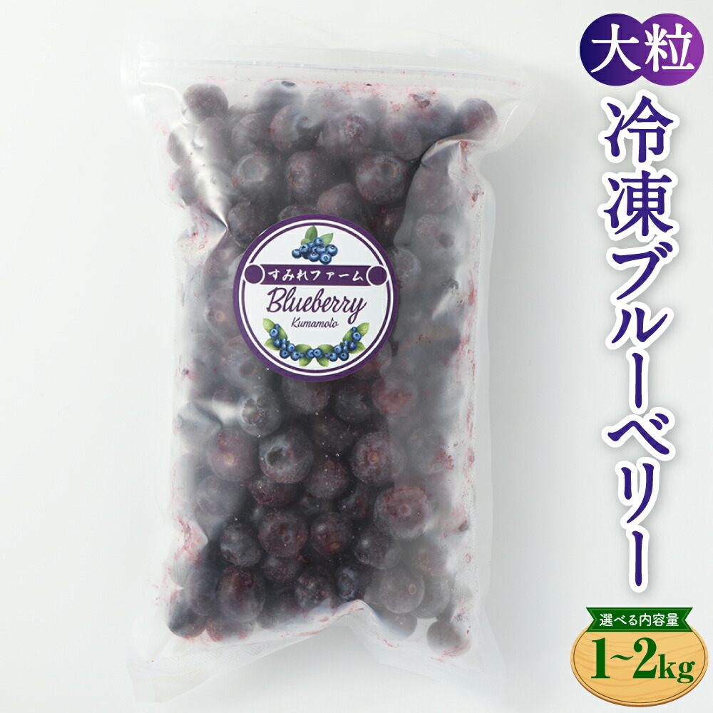 【ふるさと納税】熊本県産大粒冷凍ブルーベリー 1kg～2kg 500g×2パック～4パック 選べる内容量 フルーツ 果物 くだもの 果実 ブルーベリー 冷凍 大粒 九州 熊本県 送料無料 【2025年7月上旬発送開始】