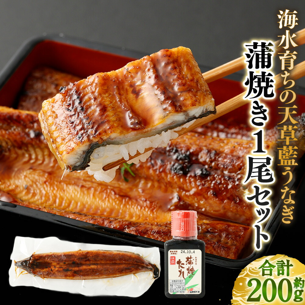 【ふるさと納税】海水育ちの天草藍うなぎ 蒲焼き 1尾 特選だれ付き セット 合計：約200g ニホンウナギ うなぎ 鰻 蒲焼 魚介類 水産物 さかな 惣菜 ひつまぶし グルメ ギフト 贈答 丑の日 冷凍 熊本県産 国産 九州 熊本県 送料無料