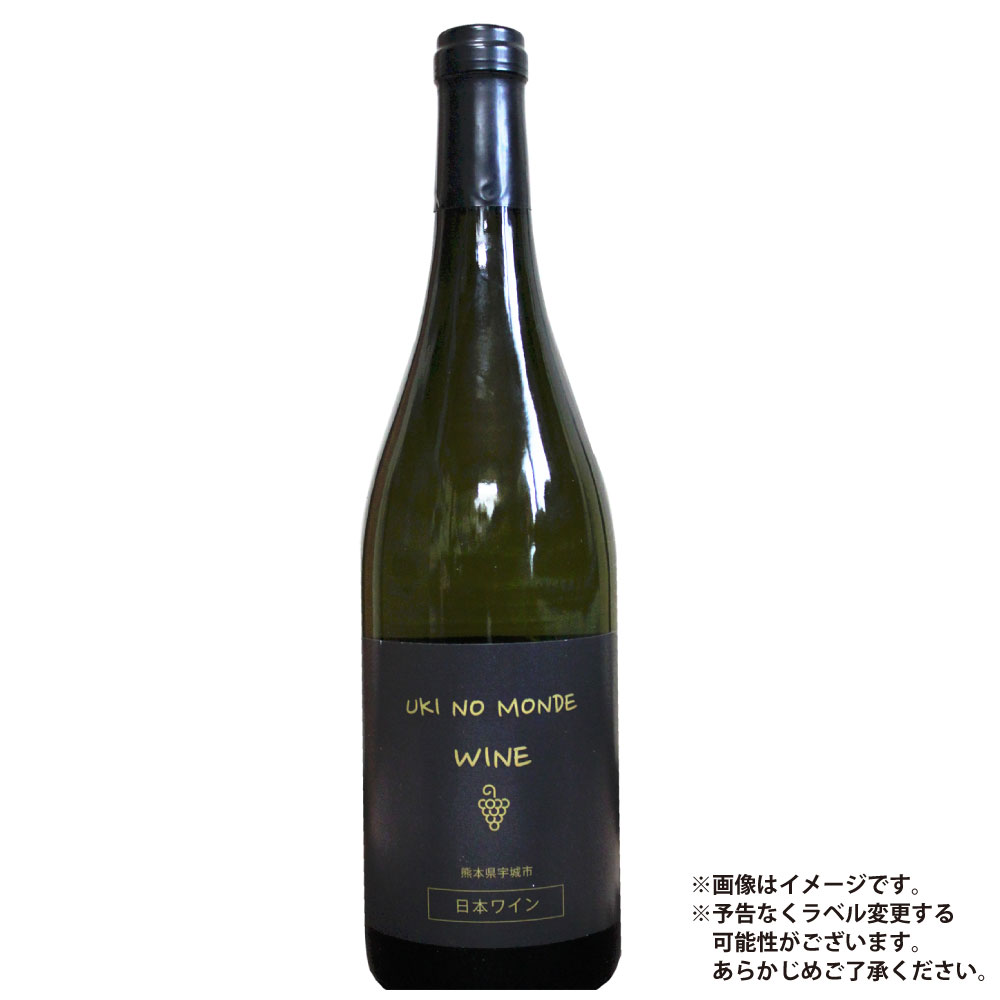 【ふるさと納税】熊本県宇城市産 うきのもんでワイン 赤 750ml×1本 赤ワイン お酒 酒 アルコール 12度 九州 熊本県 送料無料|熊本県