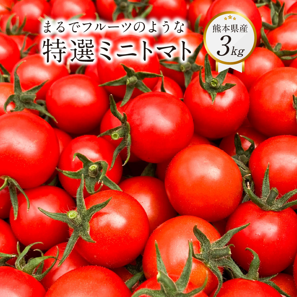 【ふるさと納税】まるでフルーツのような特選ミニトマト 3kg×1箱 熊本県産 ミニトマト 高糖度 トマト 野菜 熊本産 九州 熊本県 送料無料 【2025年12月下旬発送開始】