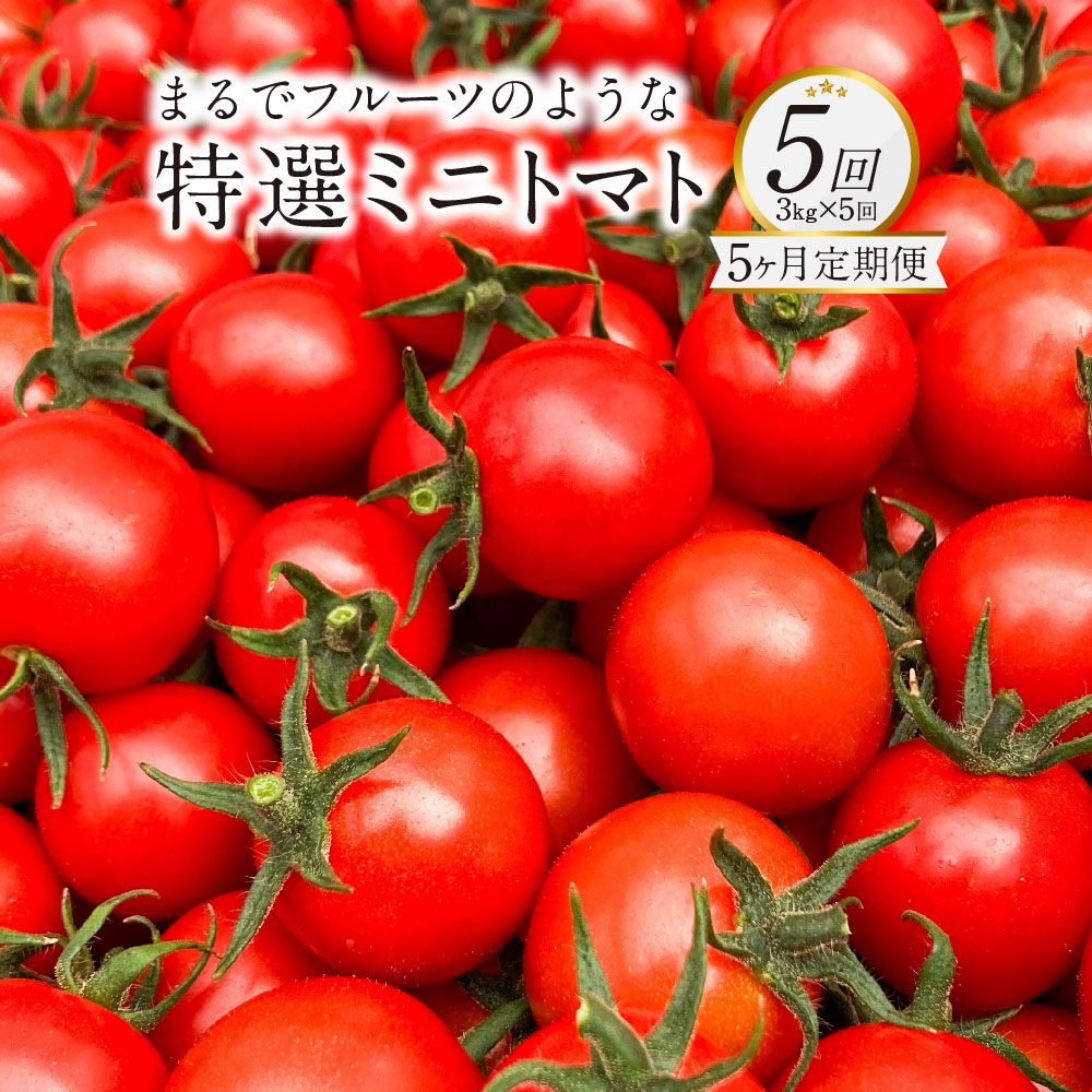 【ふるさと納税】【5か月連続定期便】まるでフルーツのような特選ミニトマト 3kg×5回 計15kg 熊本県産 ミニトマト 高糖度 トマト 野菜 熊本産 九州 熊本県 送料無料 【2026年1月上旬発送開始】