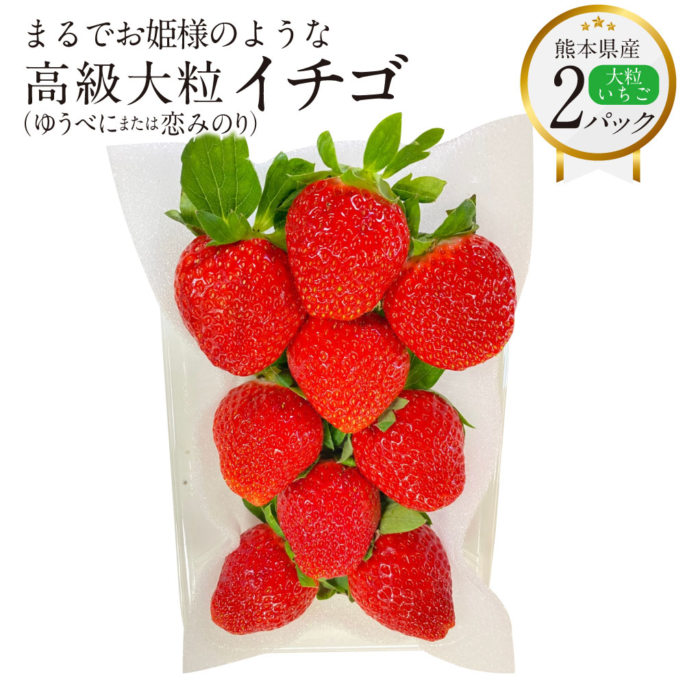 【ふるさと納税】まるでお姫様のような高級 大粒いちご 250g×2パック 約500g ゆうべに または 恋みのり いちご イチゴ 苺 大粒 熊本県産 フルーツ 贈答 ギフト 果物 熊本産 九州 熊本県 送料無料 【2026年1月下旬発送開始】