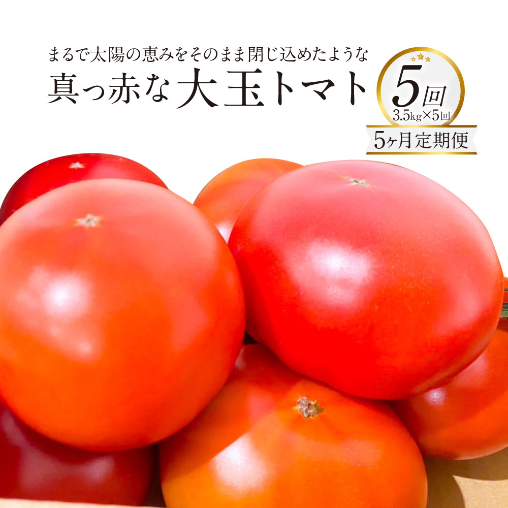 【ふるさと納税】【5か月連続定期便】まるで太陽の恵みをそのまま閉じ込めたような真っ赤な 大玉トマト 3.5kg×5回 計17.5kg 熊本県産トマト 高糖度 野菜 熊本産 九州 熊本県 送料無料 【2026年1月下旬発送開始】