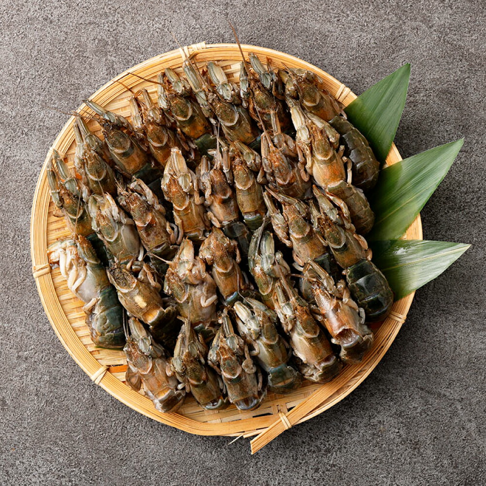 【ふるさと納税】熊本県産 冷凍 マジャク 約600g（約300g×2パック） アナジャコ シャコ 甲殻類 魚介類 水産物 珍味 天然 国産 九州 熊本県 送料無料