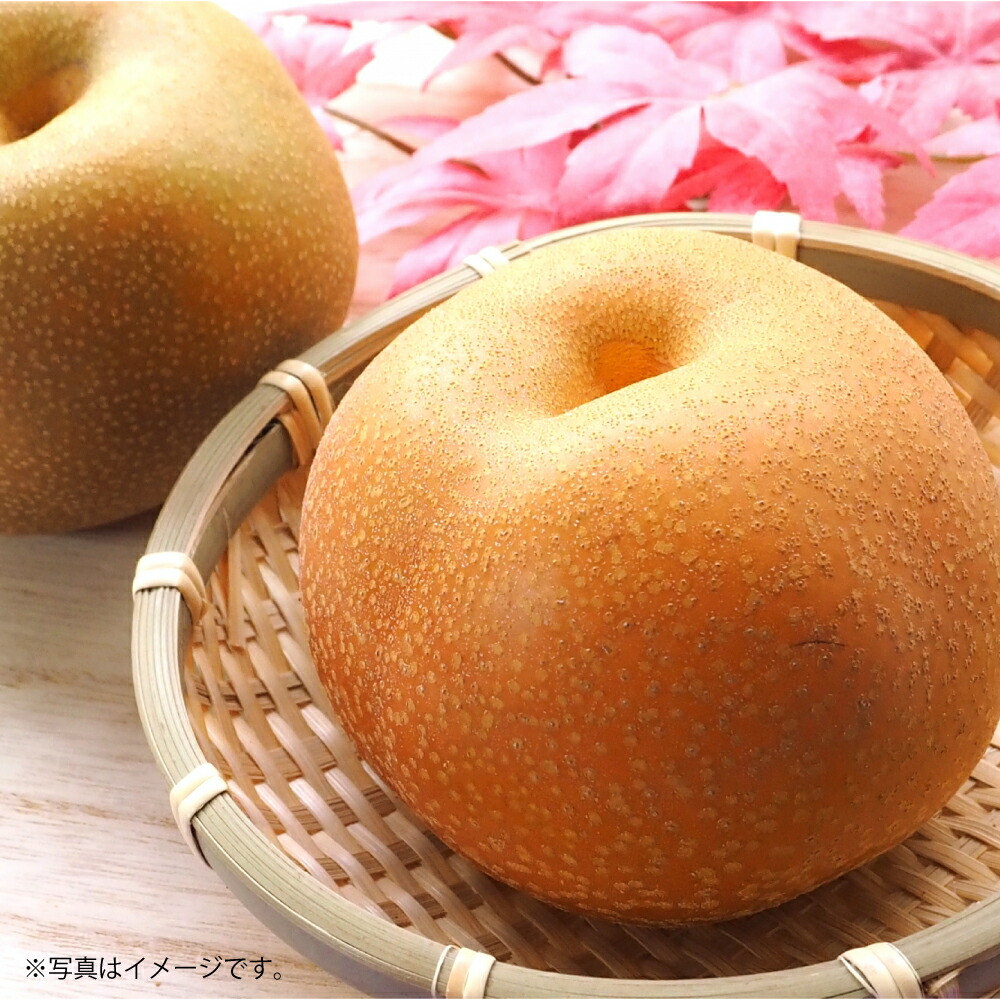【ふるさと納税】吉野梨 豊水 約5kg 梨 フルーツ 果物 なし ナシ 和梨 冷蔵 熊本産 九州 熊本県 送料無料 【2025年8月上旬発送開始】
