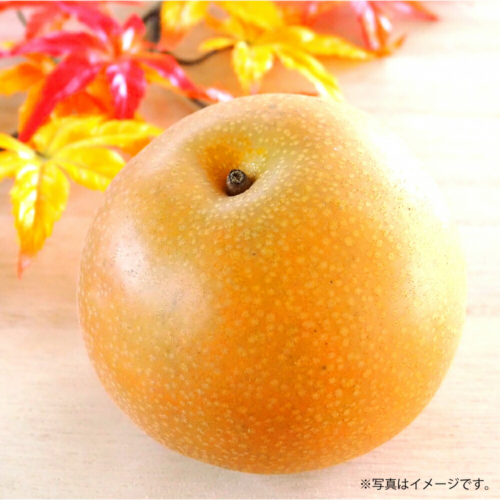 【ふるさと納税】吉野梨 秋月 約5kg 梨 フルーツ 果物 なし ナシ 冷蔵 熊本産 九州 熊本県 送料無料 【2025年8月上旬発送開始】