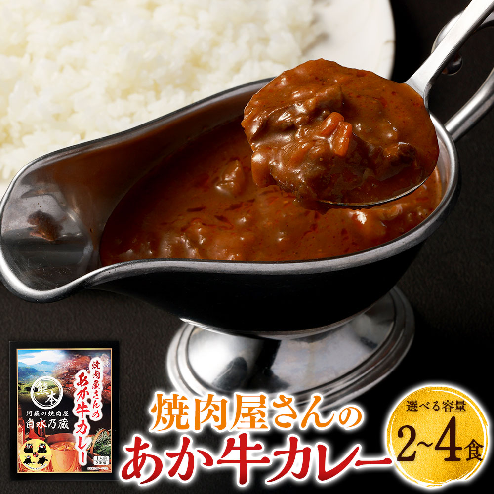 【ふるさと納税】<選べる内容量>焼肉屋さんのあか牛カレー 2食入り・3食入り・4食入り 牛肉 お肉 野菜 たまねぎ にんじん タマネギ 玉ねぎ 人参 ニンジン 中辛カレー 惣菜 国産 九州 熊本県 送料無料|熊本県