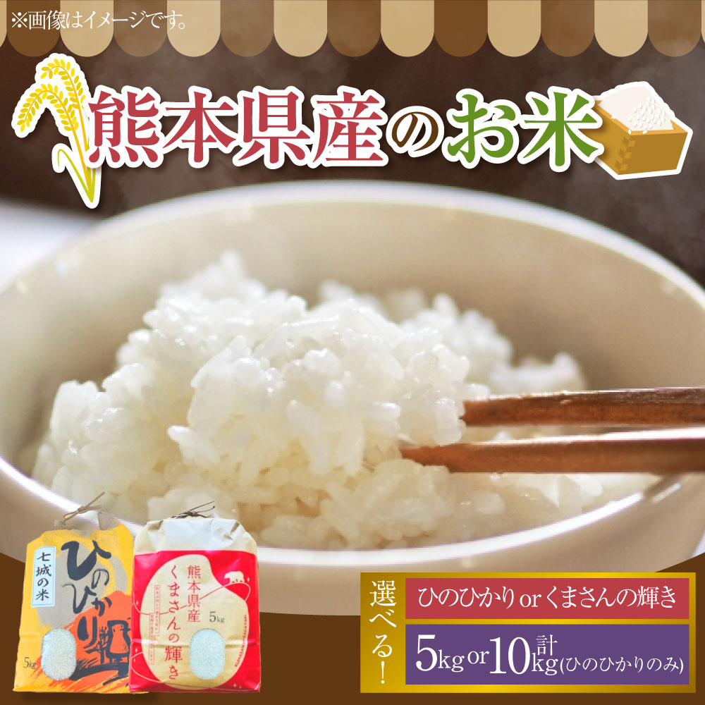 【ふるさと納税】<選べる内容量・品種>【令和7年度産】熊本県産のお米 5kg 5kg×2(計10kg) ひのひかり くまさんの輝き 精米 単一原料米 お米 米 こめ ごはん ご飯 国産 九州 熊本県 送料無料 【2025年11月上旬発送開始】|熊本県