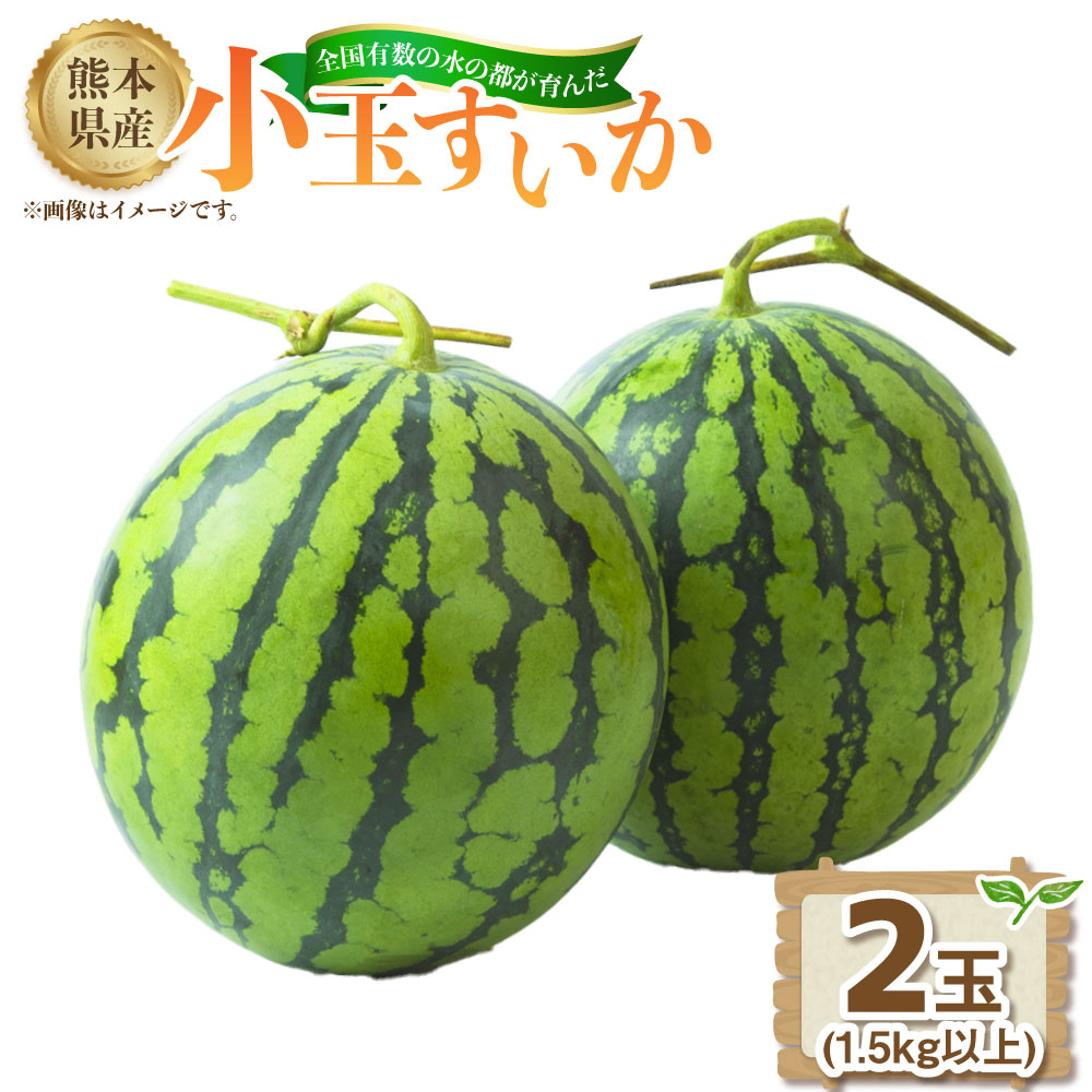 【ふるさと納税】熊本県産小玉すいか 2玉（1.5kg以上） 【2026年4月下旬発送開始】 熊本県産 国産 すいか スイカ 小玉 おやつ 果物 果実 フルーツ 2玉 1.5kg 九州 熊本県 送料無料