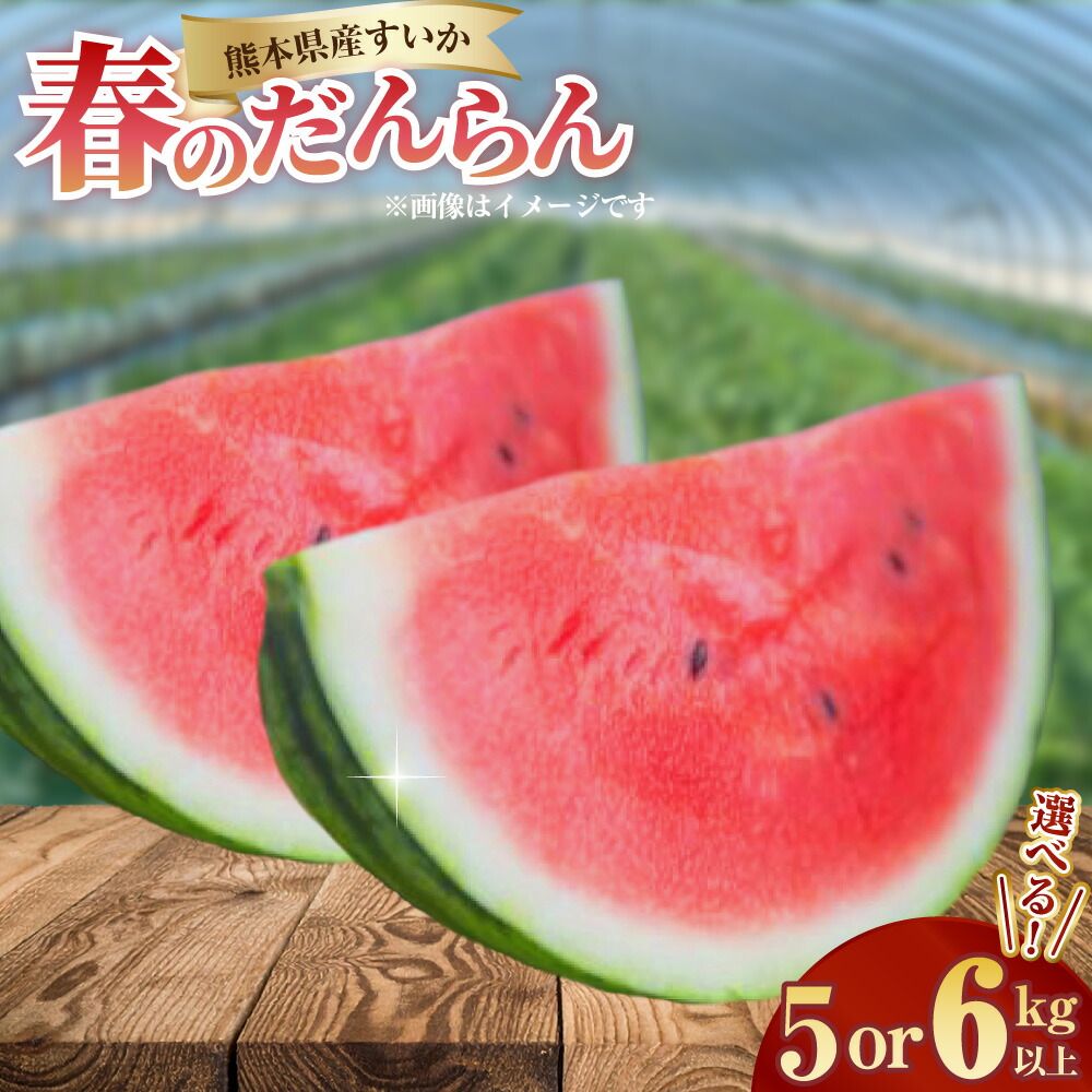 【ふるさと納税】<選べる内容量>熊本県産すいか 春のだんらん 5kg以上 / 6kg以上 早出し スイカ すいか 西瓜 くだもの 果物 果実 フルーツ 青果 デザート おやつ 熊本県産 国産 九州 熊本県 送料無料 【2027年3月下旬発送開始】|熊本県
