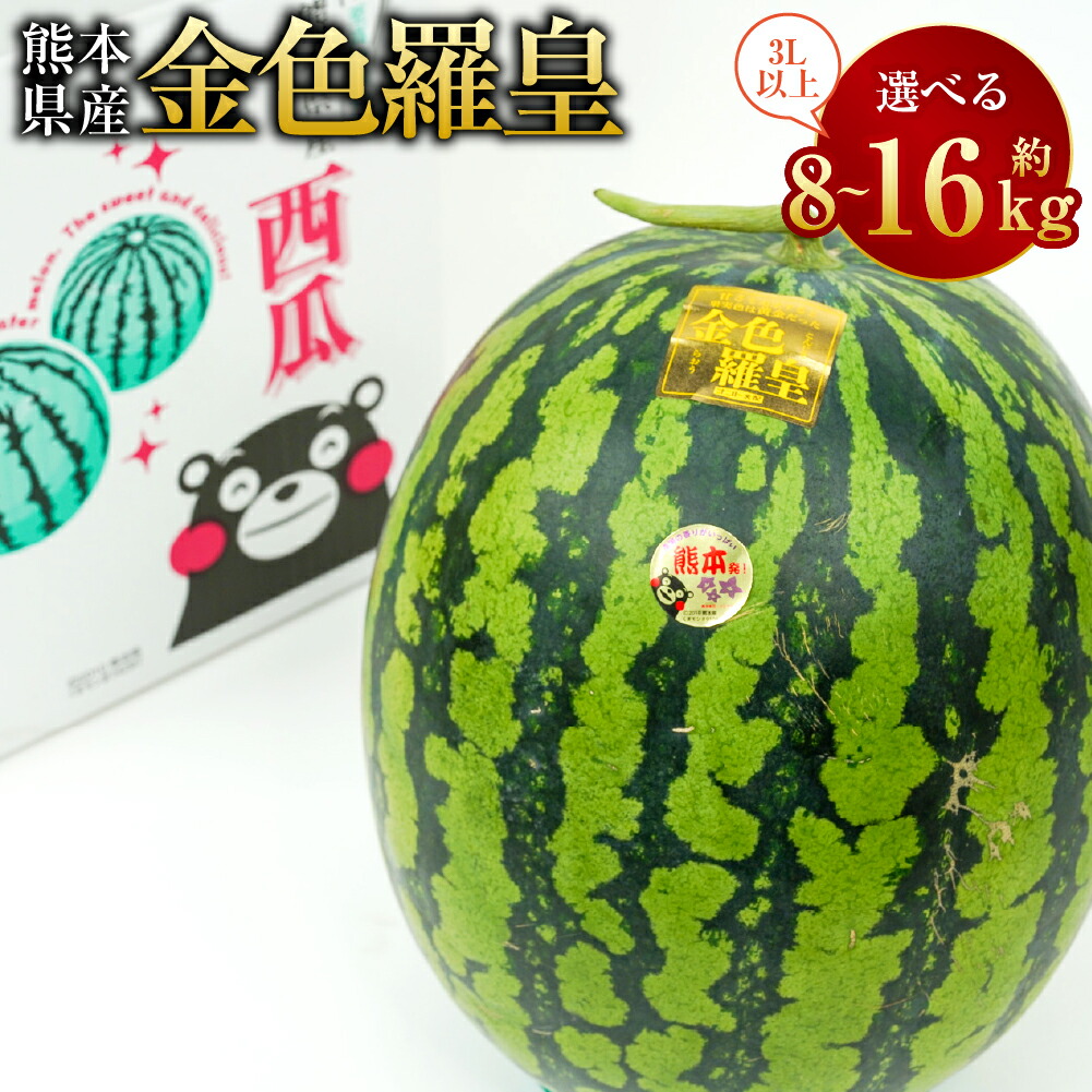 【ふるさと納税】＜選べる内容量＞金色羅皇 約8kg（1玉入り 3L以上） / 約16kg（2玉入り 3L以上） スイカ すいか 西瓜 くだもの 果物 果実 フルーツ 熊本県産 国産 九州 熊本県 送料無料 【2026年5月上旬発送開始】