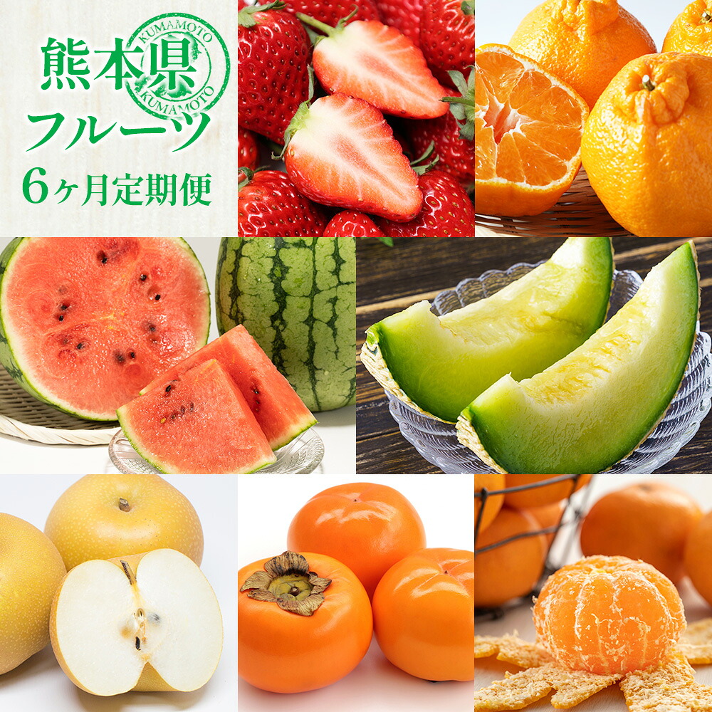 【ふるさと納税】【6か月連続定期便】熊本県フルーツ6ヶ月定期便 いちご 苺 イチゴ 晩白柚 みかん ミカン 蜜柑 スイカ すいか メロン 梨 なし ナシ 柿 かき カキ デコポン でこぽん フルーツ 定期 定期便 6ヶ月 九州 熊本県 送料無料|熊本県