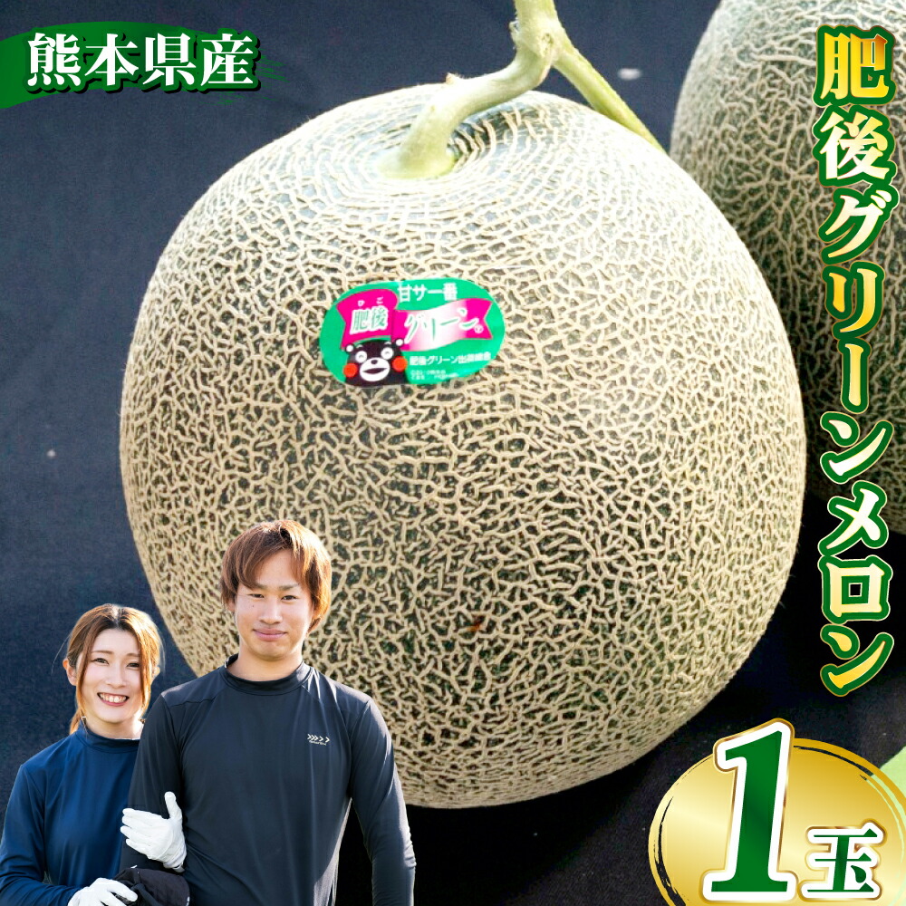 【ふるさと納税】肥後グリーンメロン 1玉 メロン めろん くだもの 果物 果実 フルーツ 糖度15～18度以上 デザート 熊本県産 国産 九州 熊本県 送料無料 【2026年5月下旬発送開始】 8,140円