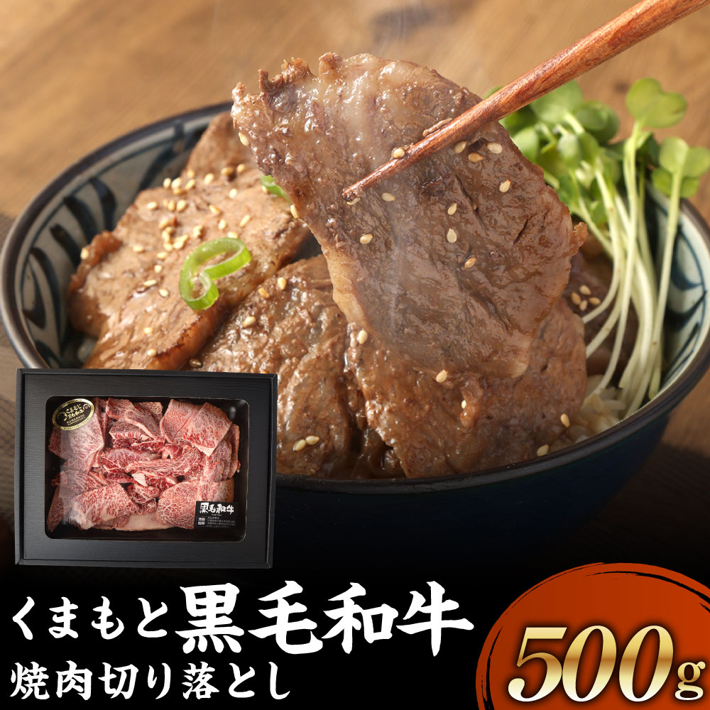 【ふるさと納税】 くまもと黒毛和牛 焼肉切り落とし 500g ギフトBOX入り やきにく 焼き肉 ヤキニク 切り落とし きりおとし 肉 にく 牛肉 牛 うし 黒毛和牛 ギフト 贈答 贈り物 冷凍 国産 熊本県 送料無料